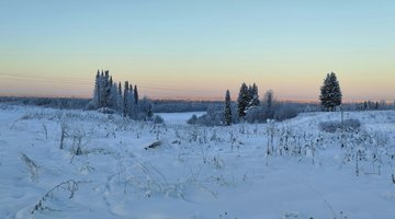 Winterliche Landschaft mit Schnee
